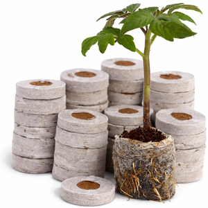 Pellets de fibra de coco, pellets de coco coir, pellets de turba de coco, pellets de coir, sustrato de coco, sustrato comprimido / Sra. Alina - Product Image 5