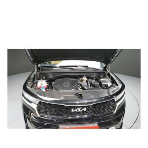 Kia Sorento Diésel 2.2 2WD 2021/7, 24,494 km, Caja de Cambios Automática, Asientos de Cuero, Estándar de Emisiones Euro V, Volante a la Izquierda - Product Image 6