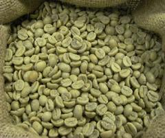 2024 New Crop Vietnam <b>Robusta</b> <b>Coffee</b> Green <b>Beans</b> High Quality Factory-Cleaned Top Supplier HANFIMEX +84374074818 Wholesale - Product Image 5