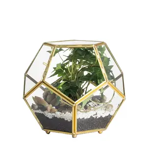 购买悬挂玻璃花瓶植物玻璃容器，带黑色或白色金属支架玻璃容器，用于装饰用途