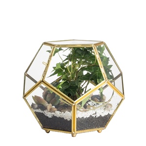 Jarrón de vidrio colgante para plantas, terrario con soporte de Metal negro o blanco, Gema para decoración, usos - Product Image 1