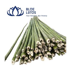 เสาไม้ไผ่คุณภาพสูงแบบใช้ซ้ำได้สำหรับงานก่อสร้างทางการเกษตร - Product Image 1