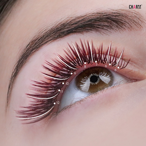 CharmLash L Family Special Curl Lash Trays LJ LB LC LC+ Extensions de cils en PBT tissées à la main de qualité supérieure, effet lift naturel, vente en gros - Product Image 4
