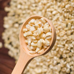 เมล็ดข้าวโพดแว็กซ์ออร์แกนิกคุณภาพสูง ราคาดีที่สุด ตัวเลือกที่ยอดเยี่ยม สำหรับการทำอาหารเพื่อสุขภาพ ธัญพืช อุตสาหกรรมขนมขบเคี้ยว และการส่งออกจำนวนมาก - Product Image 1