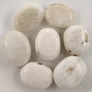 Pierre de palmier en scolecite naturelle, pierre précieuse blanche polie, cristal ovale, ornement à tenir en main pour la décoration intérieure Feng Shui - Product Image 1