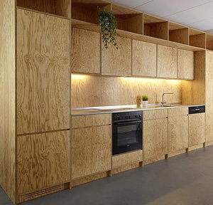 ไม้อัดสนเกรด AA เป็นมิตรกับสิ่งแวดล้อม แกนยาง E0 ใช้ซ้ำได้ 6-8 ครั้ง ขนาด 4 ฟุต x 8 ฟุต รุ่น ความหนา 9/12/15/18 มม. สำหรับงานก่อสร้าง - Product Image 1