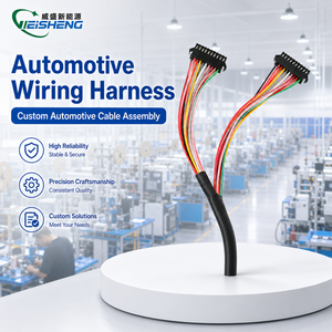 Harnais de câblage automobile sur mesure, conforme ROHS et REACH, isolation PVC/PTFE, indice de protection IP66, pour applications électroniques automobiles - Product Image 1