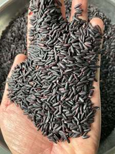 Productor de arroz glutinoso negro premium (no transgénico) - Empaquetado en bolsas al vacío de 1LB a 50LBS en RICE FACTORY (Joice) - Product Image 6