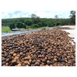 Suministro a Granel de Trozos de Caucho Natural de Alta Calidad para Fabricantes y Procesadores de Caucho Globales - Product Image 4