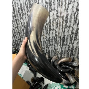 Cuerno Vikingo de Cuerno de Búfalo Hecho a Mano 100% Calidad Premium, Cuerno de Señalización Medieval Pulido, Ecológico, de Forma Natural, Aspecto Superior - Product Image 1