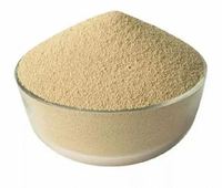 Poudre d'enzyme Xylanase 98% de pureté Fabriquée en Inde Ansel Biotech