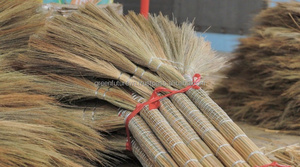 Balai à herbe, balai à sol et brosses de Green Future VN - Product Image 2