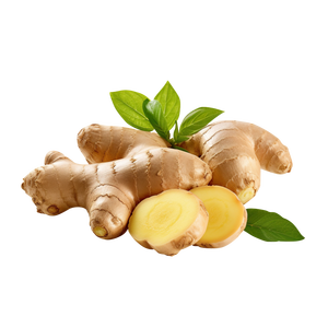 Prix direct usine, Vente chaude, Gingembre frais biologique de qualité supérieure en vrac, Légume frais de qualité exceptionnelle en gros - Product Image 1