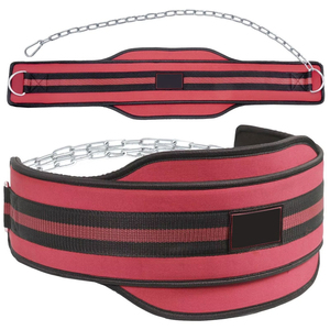 Adjustable Red Waist Support <b>Belt</b> for Weight Lifting Strength Training Breathable Unisex Polyester Hook & Loop Closure 2026 - Product Image 1