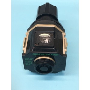 Régulateur CKD R3000-8-T NBB, 169343 - Équipements et pièces semi-conductrices d'occasion fiables à l'échelle mondiale chez - Product Image 1