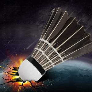 Winison Lot de 12 Volants de Badminton en Plume d'Oie de Classe A Haute Qualité Ballon d'Entraînement Haute Durabilité Excellent Prix En Stock - Product Image 5