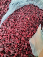 Fleurs d'hibiscus séchées naturelles rouges, bourgeons de fleurs pour tisanes et usage alimentaire, vente en gros, fabricant direct d'usine