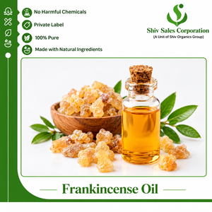 Aceite Esencial de Incienso Puro y Natural de Grado Industrial, al por Mayor, en Grandes Cantidades, con 2 Años de Vida Útil, de la India, de Confianza - Product Image 1
