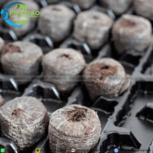 Granulés de cocopeat premium à faible teneur en EC, pureté de 95 % et taille de 3,5 à 4,2 cm, pour un développement sain des racines et un ameublissement du sol. - Product Image 6