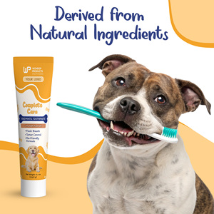 OEM/ODM Enzymatic Dog <b>Toothpaste</b> with Baking Soda and Calcium Chicken <b>Flavor</b> for Plaque Tartar and Fresh Breath 6.2 Oz - Product Image 4