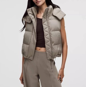 Chaleco Acolchado de Poliéster Impermeable Clásico y Moderno 2026 para Invierno, con Capucha, Estilo Casual para Hombre y Mujer, Bordado 3D, Logotipo Personalizado de Diseñador - Product Image 1