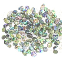 Coquilles d'ormeaux en pierres précieuses naturelles, qualité AAAAA, certifiées IGI, 100 % authentiques, multicolores, effet plume de paon, pour bijoux