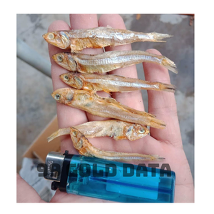 Anchoas Secas, Producto Marino para Compras al por Mayor y Comercio Internacional - Product Image 1