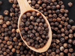 Pimienta Negra de Primera Calidad, Triturada / Potente y Picante / Hecho en Vietnam, Granos de Pimienta Enteros / en Polvo, OEM Disponible - Product Image 6