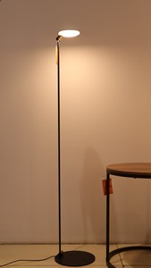 Lámpara LED de Interior con Interruptor de Control ODM de Hierro Europeo, Alimentación CA, Ra80, 85lm/W, Alto Brillo, 3000K, Regulable y Desmontable - Product Image 4