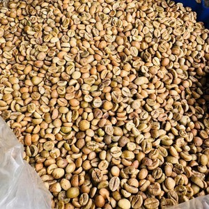 เมล็ดกาแฟโรบัสต้าสีเขียวคุณภาพสูง บริสุทธิ์จากธรรมชาติ สำหรับส่งออกจำนวนมาก ขนาดเมล็ด 16, 18, 20 เกรด A ผลิตในเวียดนาม - Product Image 1