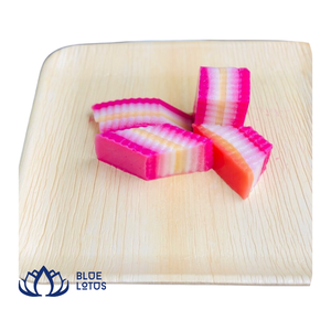 [MEILLEURES VENTES] |   Assiettes jetables biodégradables en feuilles de palmier de 10 pouces, lot de 50, pour camping, fête, Vietnam - Product Image 1