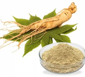 ผงโสมออร์แกนิกสกัดจากราก Panax ผงสมุนไพรสำหรับการดูแลสุขภาพและอาหารเสริม - Product Image 2