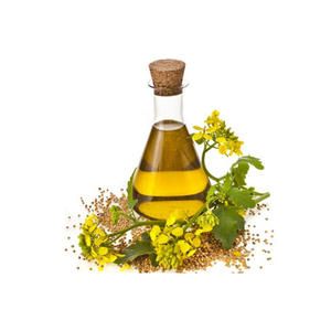 Fournisseur direct d'huile de cuisson de colza raffinée jaune clair de première qualité 20L pour usage alimentaire et pâtisserie, approvisionnement en vrac, prix abordable - Product Image 5