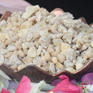 Polvo de Goma Shallaki / Gond Kondru / Boswellia Serrata (Incienso) Mezclado, Secado al Sol Natural, Grado Incienso, Venta al por Mayor a Granel - Product Image 4