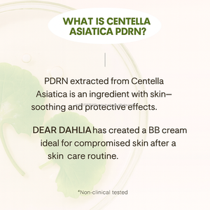 Crema BB Coreana OEM con FPS 40, para Ojeras, Piel Radiante, Cobertura Luminosa, Hidratante Facial - Product Image 4