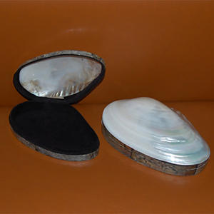 กล่องเปลือกหอยสีขาวสำหรับงานศิลปะ งานฝีมือ รูปทรงธรรมชาติมาตรฐาน กล่องใส่เครื่องประดับเปลือกหอยลายธรรมชาติสำหรับงานฝีมือและงานศิลปะ - Product Image 1