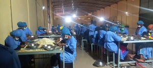 Chaîne de production de noix de cajou de marque TTQ, capacité de 100 tonnes/jour, en acier inoxydable de qualité alimentaire, Vietnam, Ho Chi Minh City, 380V, garantie 1 an - Product Image 6