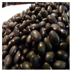 Fournisseur de haricots noirs biologiques en vrac, exportateur de haricots riches en protéines pour l'industrie agroalimentaire - Product Image 3