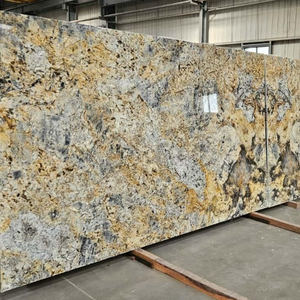 Dalle de granit classique exotique de haute qualité pour la décoration murale de cuisines et salles de bain de villas et hôpitaux, export en vrac d'Inde - Product Image 1