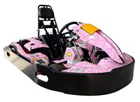 Karts comerciales - ideales para parques de atracciones. Aptos tanto para interiores como para exteriores.