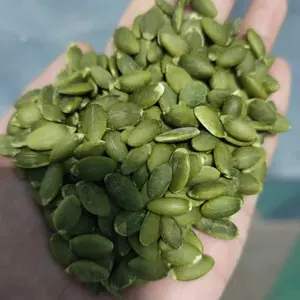 High Quality Competitive Cheap Price Big Size New Crop Bulk Green Raw Pumpkin Seeds Kernels