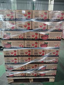 Bebida de Nata de Coco de Alta Calidad de la Marca Nico Nico con Jugo de Arándanos NFC en Botella PET de 320 ml, Muestra Gratis, HALAL, MOQ Bajo - Product Image 4