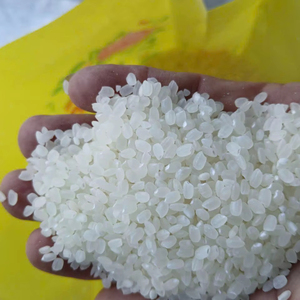 ข้าวหักเกรดพรีเมียมจากเวียดนาม เมล็ดกลม อบแห้ง สำหรับทำซูชิและโอนิกิริ ผลผลิตใหม่ปี 2026 ขายส่ง - Product Image 1