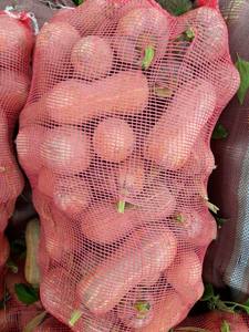 Cubos de calabaza congelados IQF Premium 100% naturales, origen de Vietnam, Exportación al por mayor a granel - Product Image 3