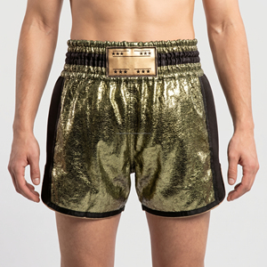 Custom Metallic Gold <b>Men</b> Boxing Shorts Breathable Mesh Side Panels Kickboxing <b>Trunks</b> Wholesale Custom Logo Muay Thai Fight Short - Product Image 2