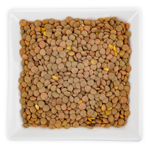Lentejas marrones secas cuidadosamente seleccionadas, envasadas de forma limpia y de calidad, para compradores mayoristas e importadores de alimentos frescos. - Product Image 4