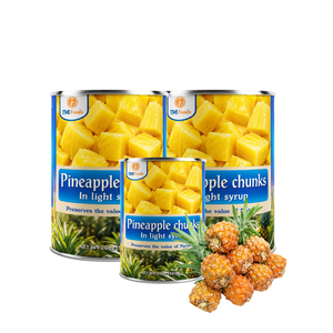 Ananas en morceaux délicieux et de qualité supérieure, fabriqués au Vietnam, conformes aux normes internationales, en vrac, enrobés de sirop, les plus vendus - Product Image 1