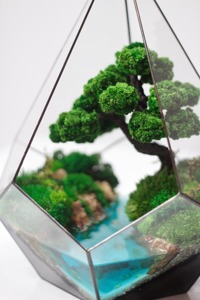 Terrarium en verre géométrique avec arbre style bonsaï et paysage aquatique, décoration de table intérieure pour la maison, le bureau et les cadeaux - Product Image 4