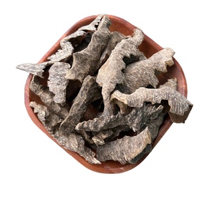 Bois d'Oud Premium pour l'Encens, l'Aromathérapie et la Fabrication de Parfums - Teneur Élevée en Résine - Product Image 4