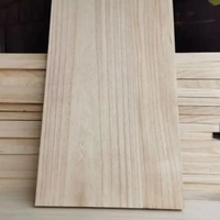 Panneau de Paulownia à Noyau Renforcé, Contreplaqué, Fourniture Directe, Protection Contre la Vapeur, Bois Massif pour Meubles Industriels et Menuiserie
